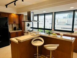 The Centrepoint (D9), Apartment #527584331
